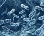 Male Fertility and the Microbiome: How Gut and Semen Bacteria Affect Sperm Health