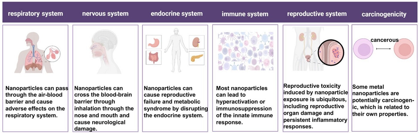 Toxic effects of nanoparticles on health.