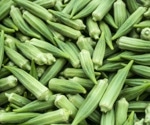 Okra and Diabetes: What Research Says About Its Blood Sugar Control Effects