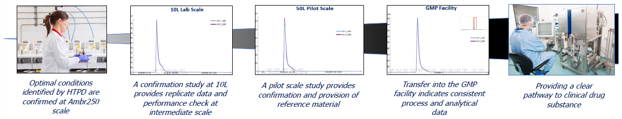 How HTPD transforms AAV process optimization and scale-up