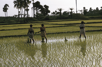 Health workers in India have welcomed a new programme which aims to deliver health care to millions of poor villagers around the country saying it was long overdue.