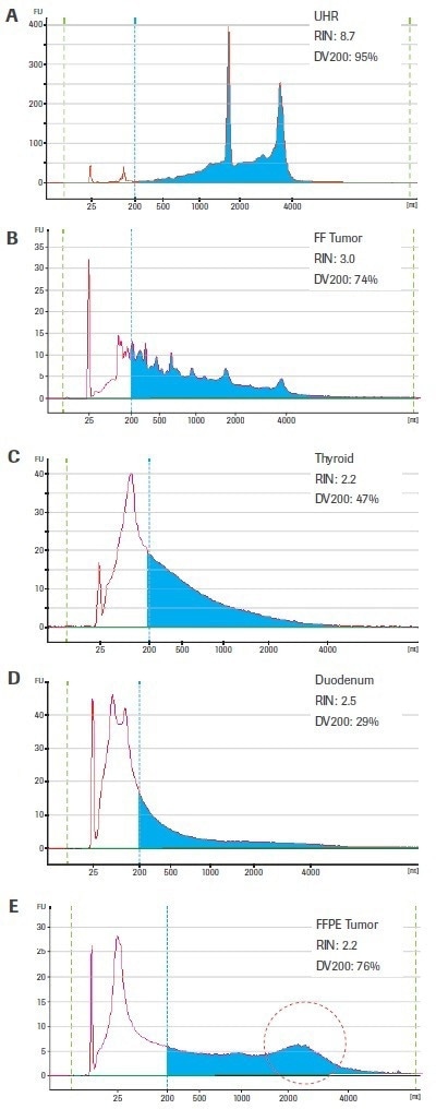 Top tips for RNA-sequencing that involves degraded inputs