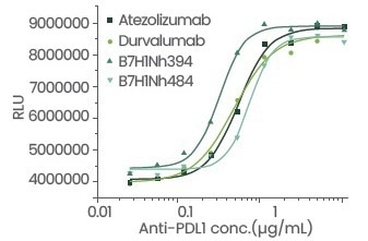 Improving cancer diagnostics and therapeutics through nanobody research