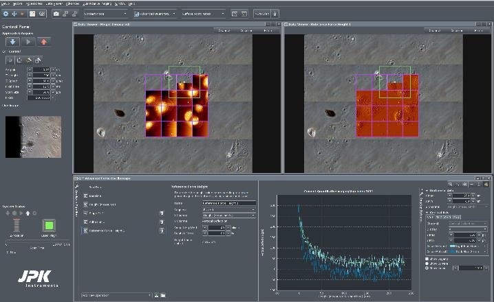 The role of molecular interactions in cell differentiation and cancer invasion