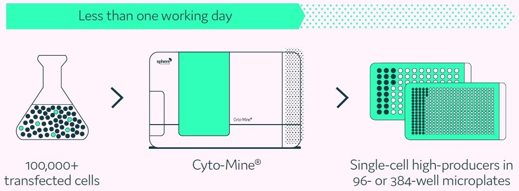 Finding and isolating high-production clones with monoclonality
