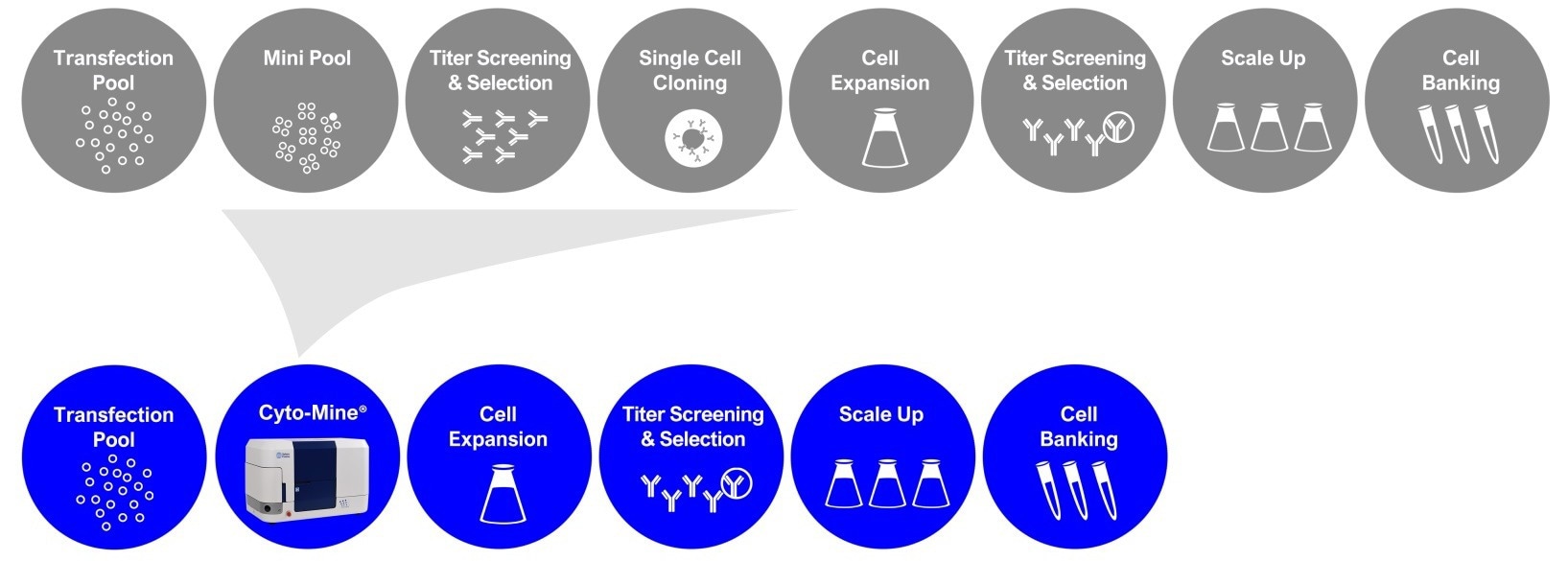 Overcoming obstacles in biotherapeutic development