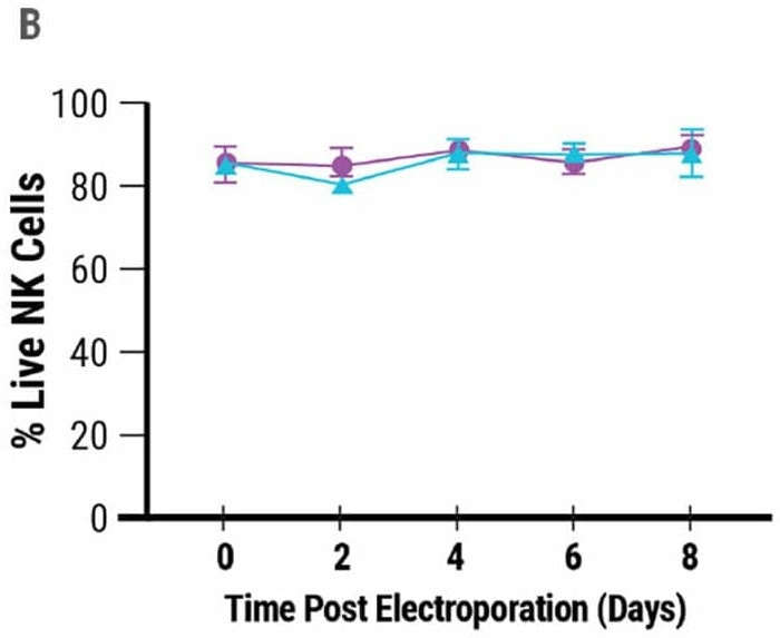 NK cell engineering with MaxCyte®