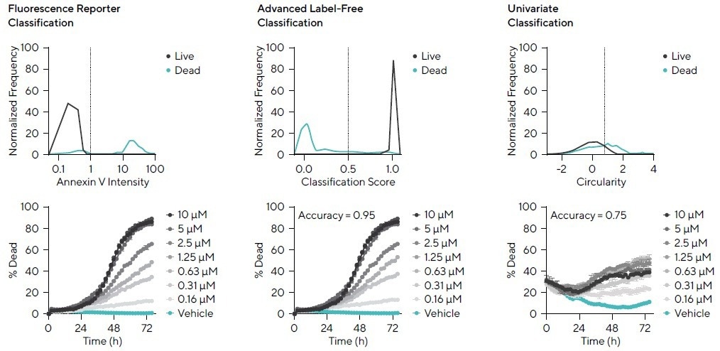 Cell morphology subpopulation classification in a label-free method