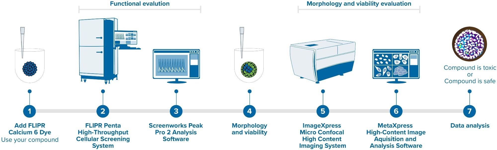 How does the FLIPR Penta System Allow for Better Resolution Calcium Oscillation Patterns in Cardiomyocytes?