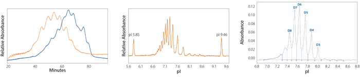 How to easily profile protein samples