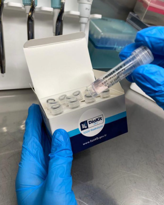 How to boost your PCR assay design and development