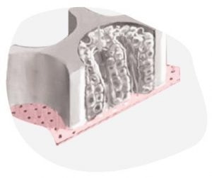 How does blood flow mimicking enhance Organ-on-a-Chip technology?
