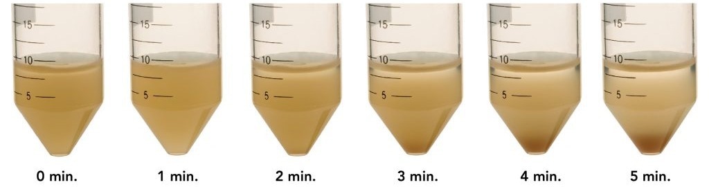 Successful hepatocyte handling: What do you need to know?