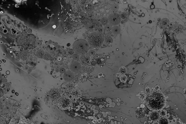 Exploring the science of the gut microbiome