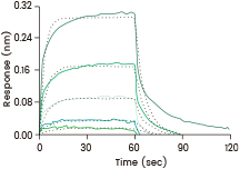 Loaded Human FcγRIIIA / CD16a (F176) recombinant protein (Cat. 10389-H08H) on His1K Biosensor, can bind Bevacizumab (IgG1) with an affinity constant of 1.9 μM as determined in a BLI assay (ForteBio Octet Red384).