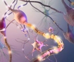 Neurological diseases: Advancements in live-cell analysis
