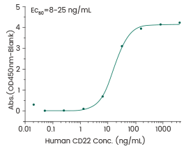 Binding assay: Immobilized anti-CD22 antibody can bind human Siglec-2/CD22 protein