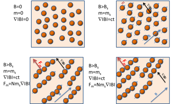 Magnetic beads in biotechnology: Principles and applications