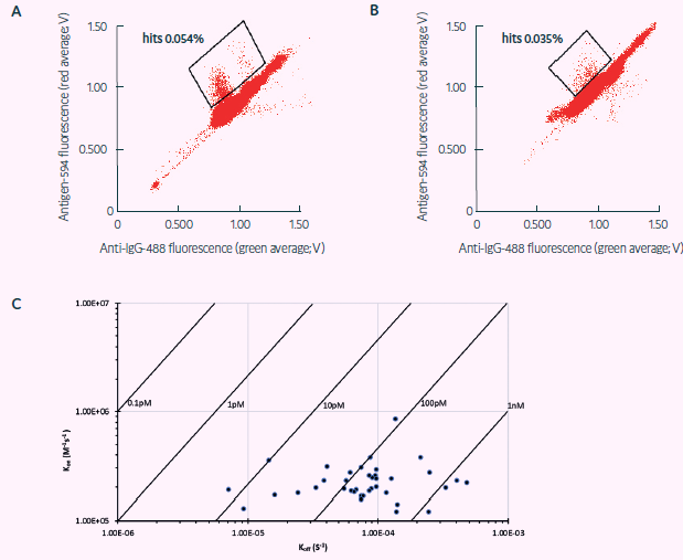 Sorting of freshly sourced and revived human ASCs for TT target specificity (adapted from Gaa et al., 2021, under CC BY 4.0 License). Sorting Scatter plot obtained from, A) human ASCs, and B) revived human plasmablasts secreting antibodies against TT via FRET: a decrease in green and an increase in red fluorescence indicates FRET by recombinant target binding in the respective droplets. C) TT binding affinities via BLI showing mainly subnanomolar TT affinities of binders obtained via Cyto-Mine® within 4 weeks from ASC sourcing.  I