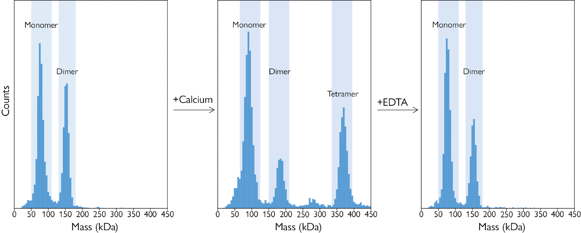 Reversal of tetramer formation