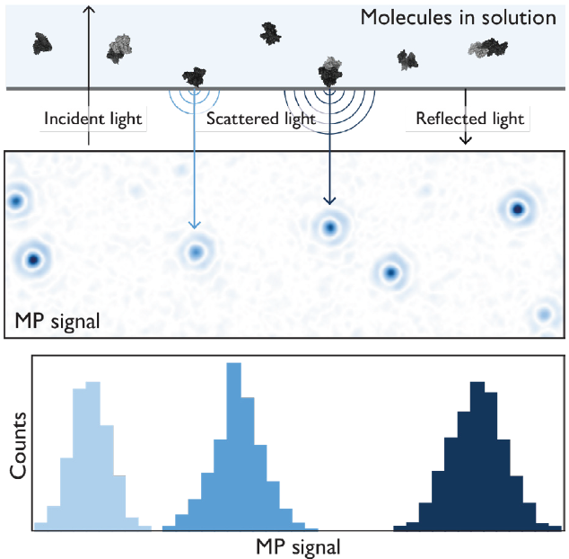 The principle of mass photometry