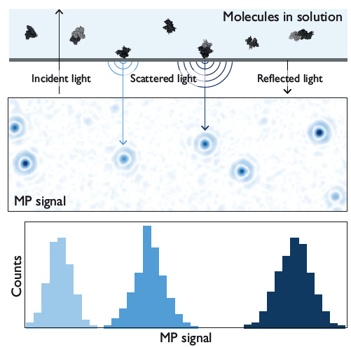 The principle of mass photometry