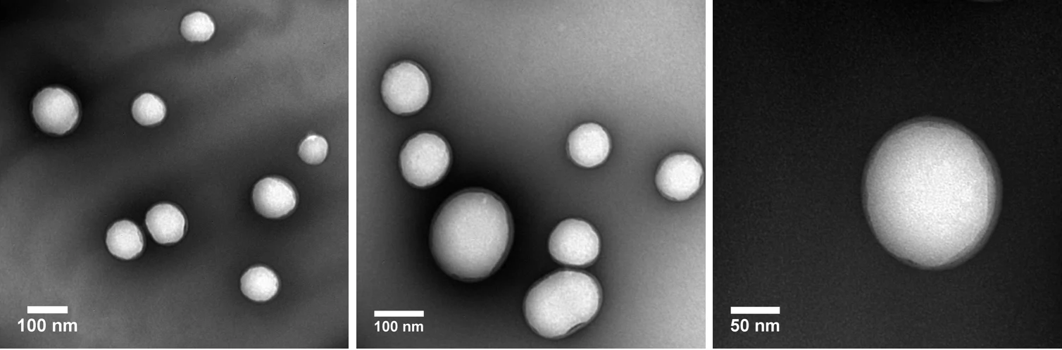 What are the medical applications of PLGA nanoparticles?
