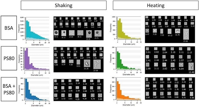 FlowCam LO-measured particle size distributions (histograms) and FIM images (collages) for stressed samples containing protein (BSA), surfactant (PS80), or both. Dark histogram bars indicate FIM data, light bars indicate LO data.