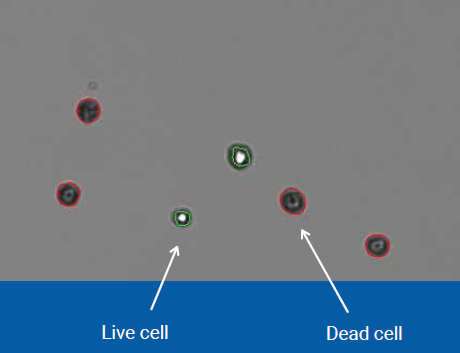 Selecting the right viability assay
