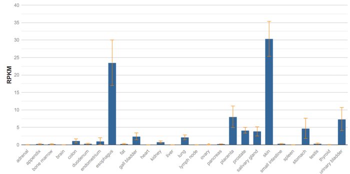 What are the safety considerations in developing ADCs?