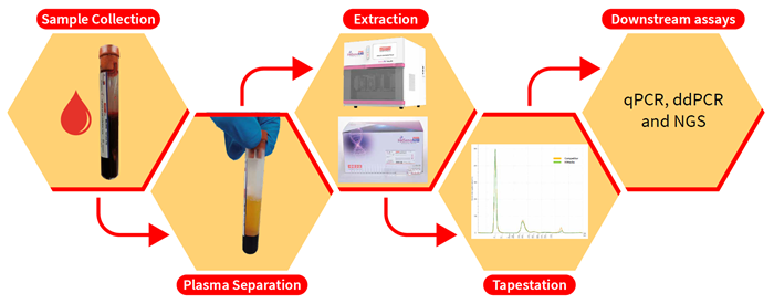 Seamless automation for rapid and high-quality nucleic acid extraction in NIPT