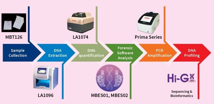 The workflow of DNA profiling from a forensic sample using HiGenoMBR® machines, kits and softwares