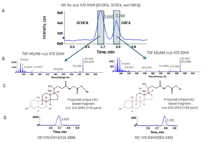 Resolution of bile acid isomers using EAD-based fragmentation. GCDCA and GDCA are bile acid isomers that have identical CID-based MS/MS spectra. Using EAD, unique, diagnostic fragments were observed for each isomer (A and B) in a standard mixture (6.56 nM). Using the fragments pane in SCIEX OS, structures for each fragment, m/z 316.1886 and 262.1403, were proposed for GUDCA and GDCA, respectively (C). Using a 10 mDa XIC window, panel D shows the improved specificity of the analysis for the two standard