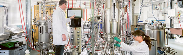 Enhancing viable cell monitoring in single-use bioreactors