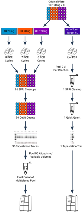 Experimental design showing simplified workflow for iconPCR. Standard PCR (left side) required samples of varying inputs to be split across multiple different PCR runs. Following amplification, each sample must be individually purified, quantitated, and normalized, and then pooled prior to sequencing. Conversely, with iconPCR, all samples were processed simultaneously. Following amplification, 2 uL of each sample was pooled into a single tube and subsequently purified, quantified, and then loaded onto the sequencer