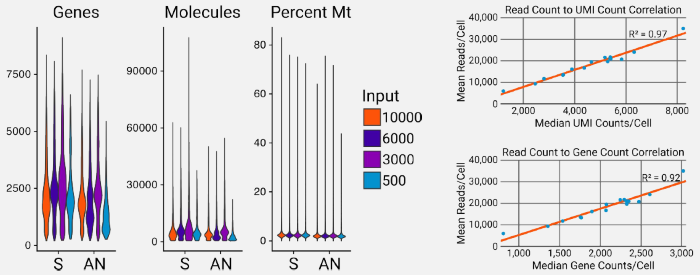 AutoNorm samples (AN) maintain the same quality as libraries prepared using the standard procedure (S). AutoNormalized libraries and libraries prepared using the standard protocol showed similar results in the number of genes and unique molecules (UMIs) detected, and did not change critical quality metrics such as the percent of mitochondrial reads (% mito). All samples showed a strong correlation between the mean reads per cell and both the median UMI counts per cell and median genes per cell, indicating that any difference in gene and UMI counts is due to differences in sequence depth between samples