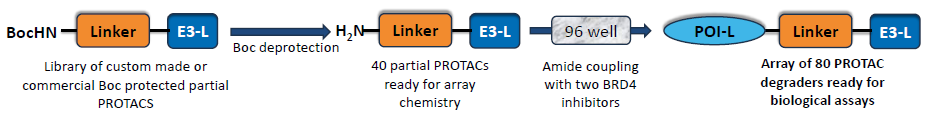 Our approach for high throughput plate-based chemistry for direct biological assays