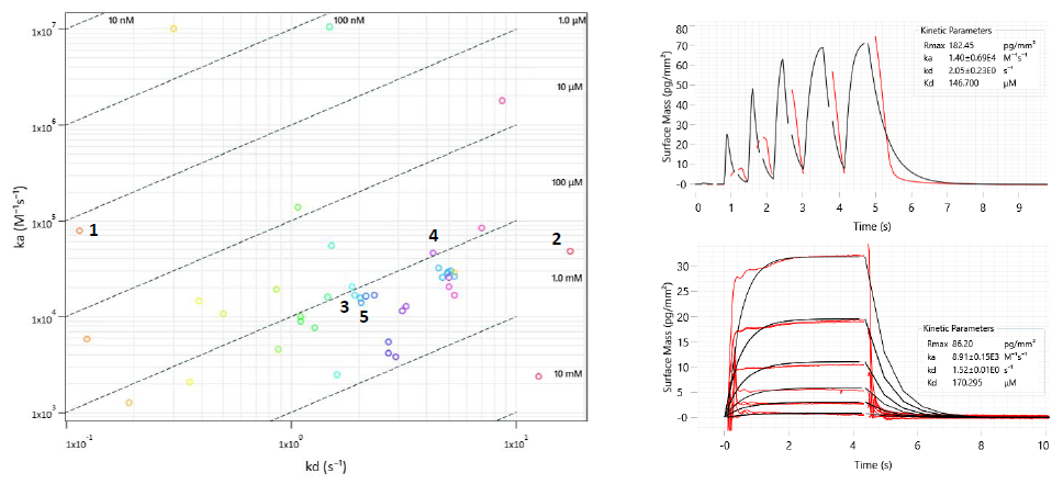 Left: Two-dimensional isoaffinity kinetic plot of association (ka) and dissociation (kd) rate constants from WaveRAPID® screen of 51 virtual hits. The 36 primary hit binders are shown. Diagonal lines indicate equilibrium binding constants (KD). Each circle represents a binder and is coloured according to the dissociation rate. Top right: WaveRAPID® GCI sensorgram of compound 5 (100 μM) binding to BRPF1b. Bottom right: Multicycle kinetics GCI sensorgram of 5 binding to BRPF1b.