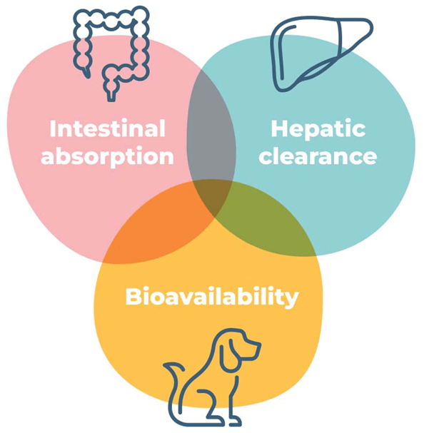 Advancing ADME studies using in silico tools