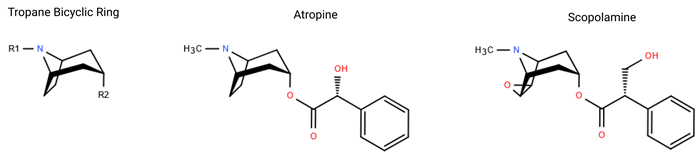Chemical structures of tropane alkaloids, including the tropane bicyclic ring structure, atropine and scopolamine.