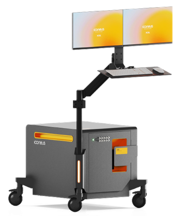 Mapping brain networks using functional ultrasound