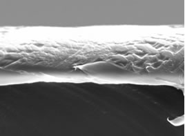 Cross Section of Coating on Medical Device