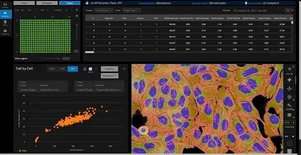 Scalable ImageXpress Confocal HT.ai High-Content Imaging System