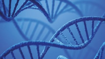 Sierra SPR-32 Pro for complex high-throughput applications