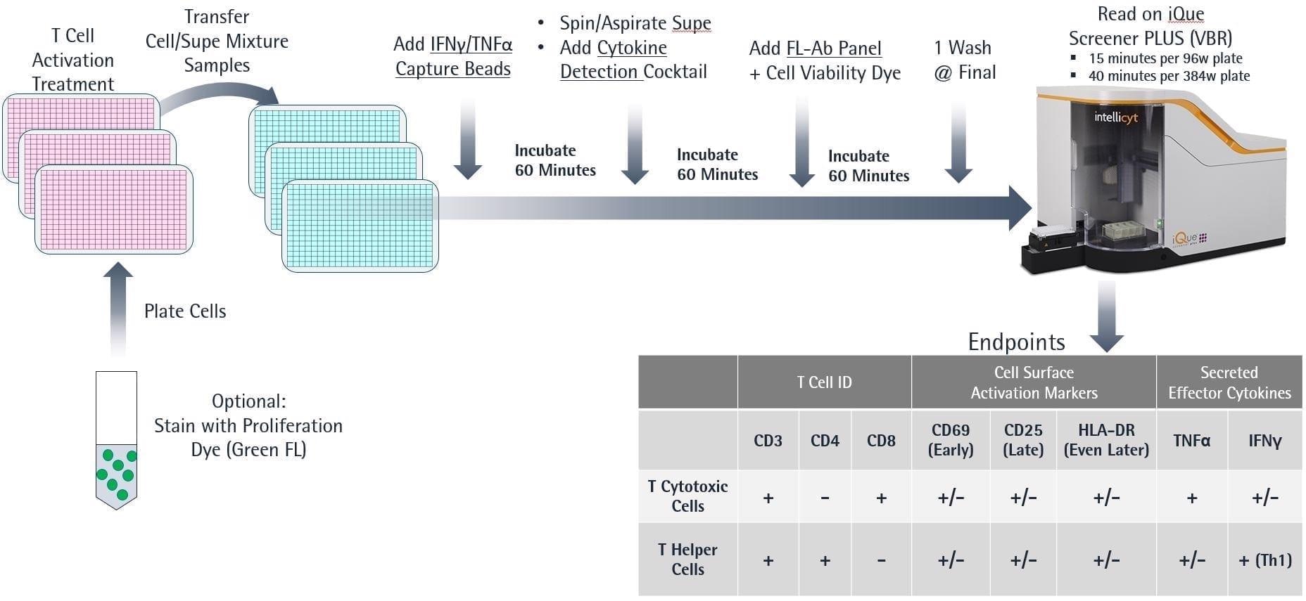 iQue® Immune Cell-based kits for immunophenotyping and function