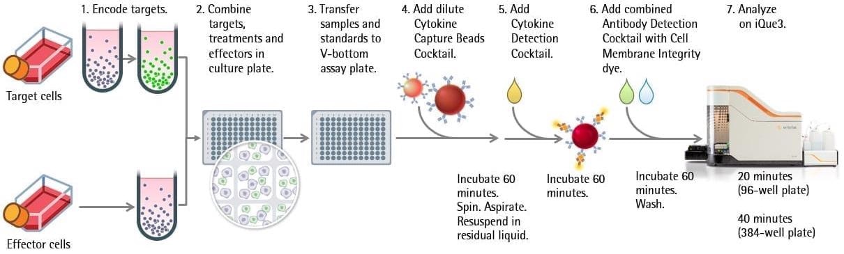 iQue® Immune Cell-based kits for immunophenotyping and function