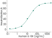 Human IL-6R (Cat#: 10398-H08H) enhanced the IL-6 activity on M1 mouse myeloid leukemia cells. The ED50 is typically 20-80 ng/mL.