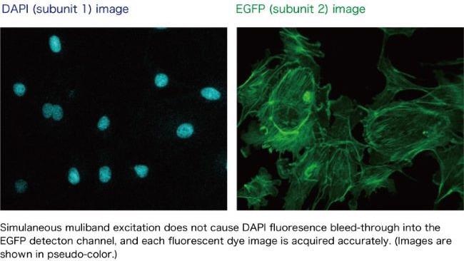 Confocal MEMS unit for fluorescence imaging