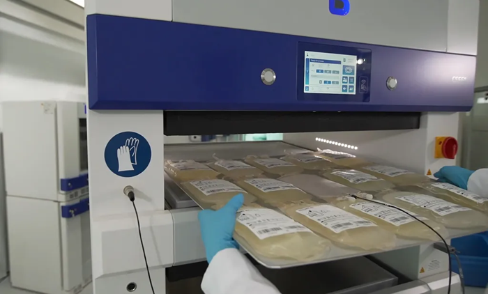 Contact shock freezer CSF61 for blood plasma freezing