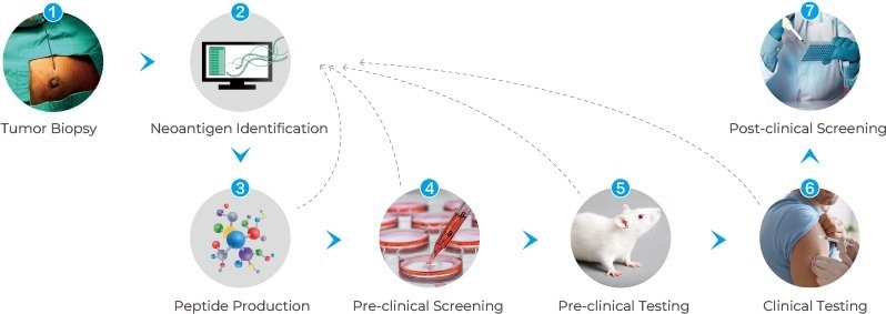 Synthesis services to analyze neoantigen peptide